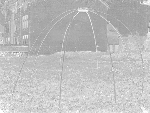 Betonijzeren frame van de kooi